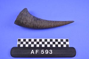 AF593