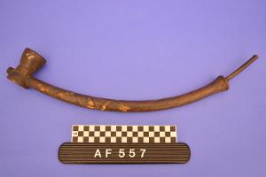 AF557