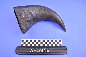AF591E