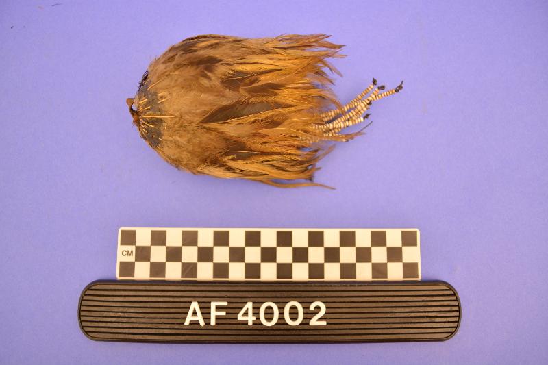 158252