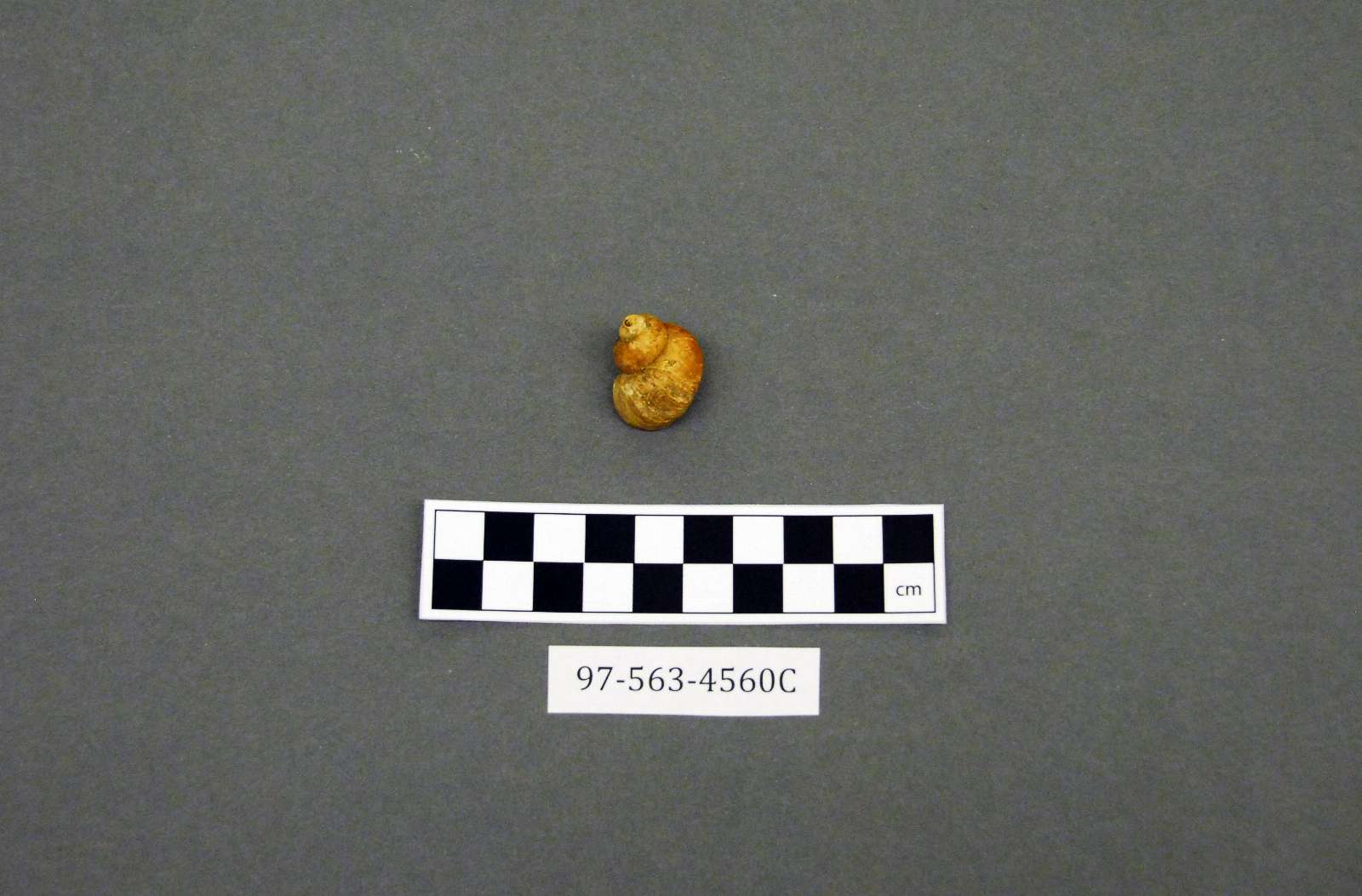 158532
