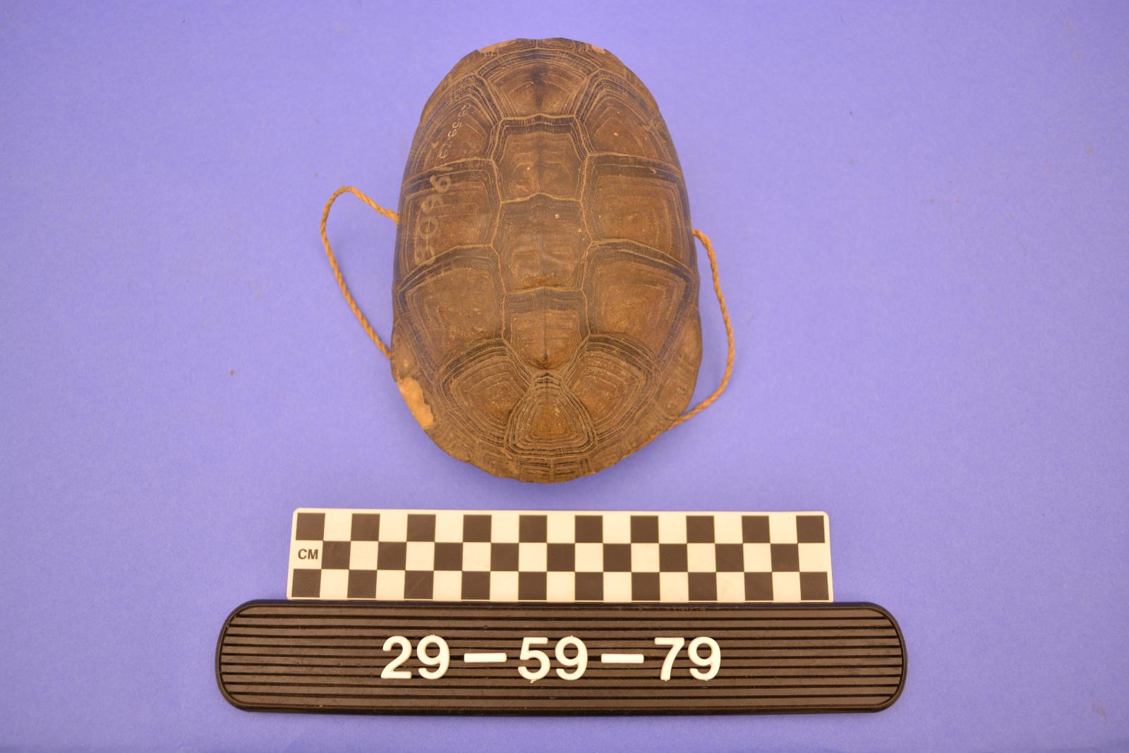 159659