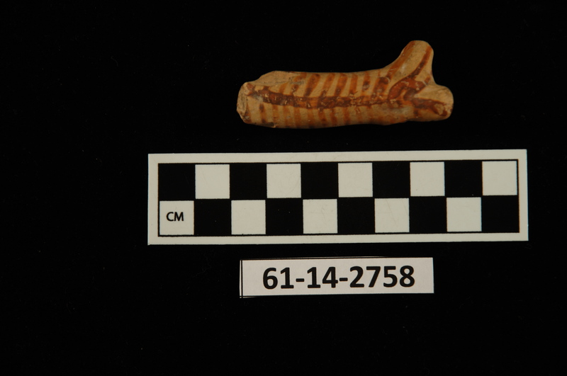 161753