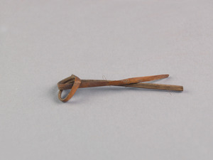 P1101