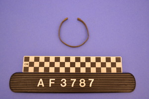 AF3787