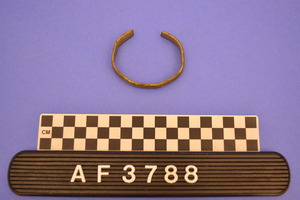 AF3788