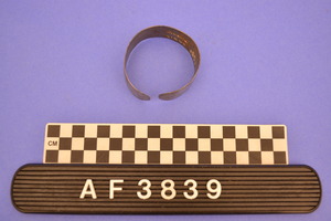 AF3839