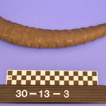 162787
