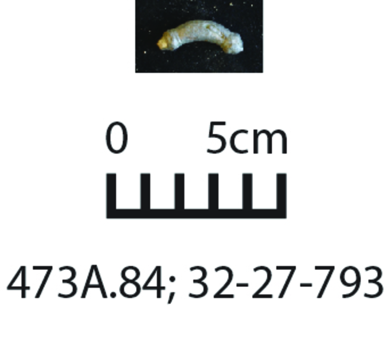 163293