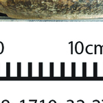 163330