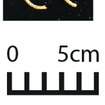 163346