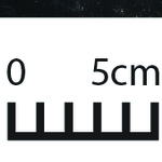 163350