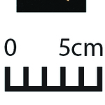 163440