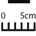 163621
