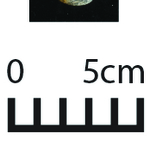 163628