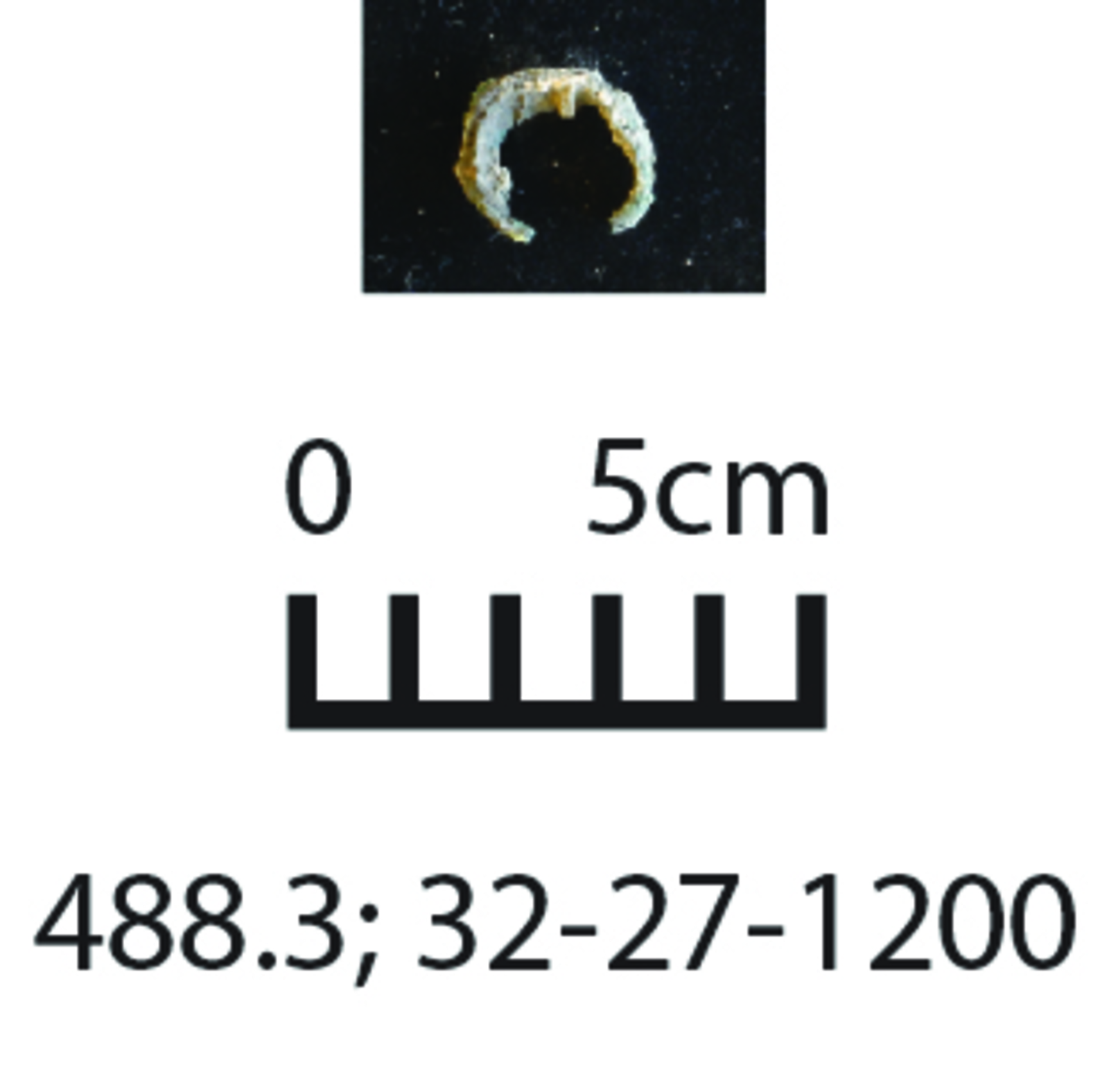 163641