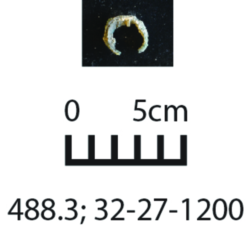 163641