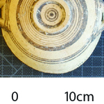 163697