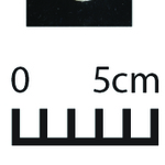 163852