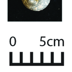 163943