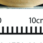 164010