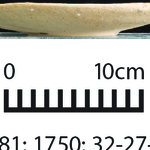 164293