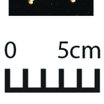 164353