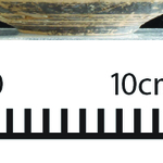 164354