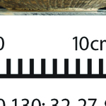 164364