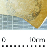 164509