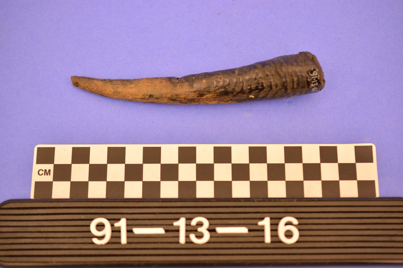 165509