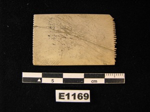 E1169