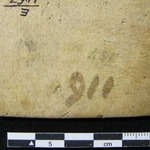 166561