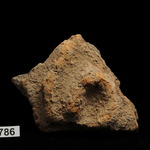 166647