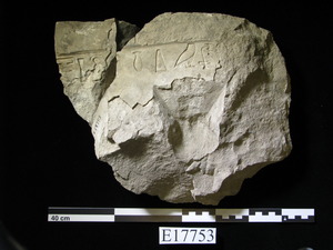 E17753