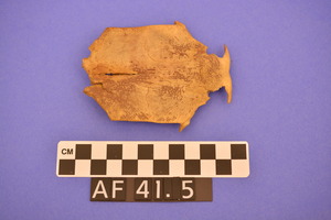 AF41.5