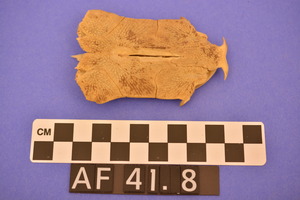 AF41.8