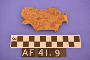 AF41.9