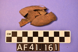 AF41.161