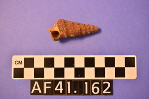 AF41.162