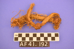 AF41.192