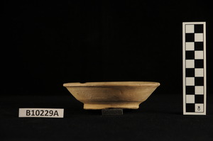 B10229A