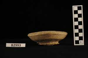 B2993