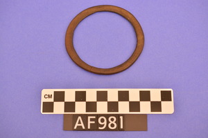 AF981