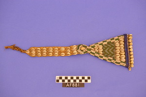 AF881