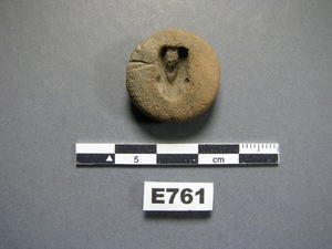 E761