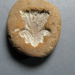 171876