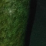 172062