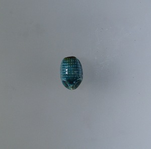 E9206