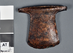 E14239